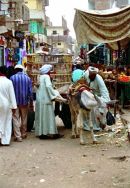 Live Chicken Seller, Cairo